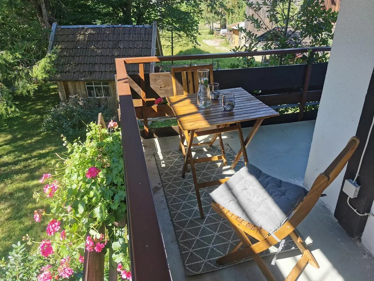 Ferienwohnung Wiesenblick Bad Hindelang