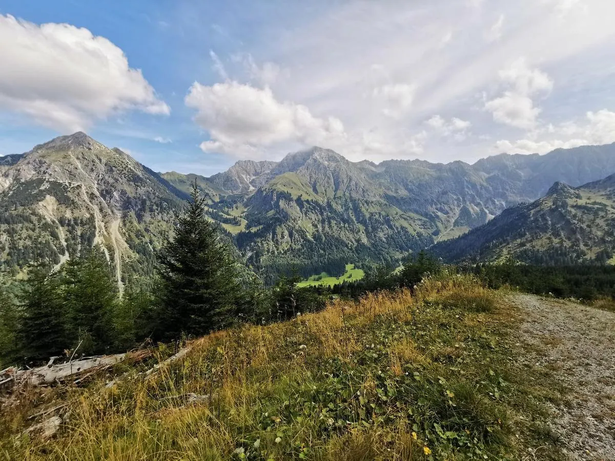 Ferienwohnung Wiesenblick Bad Hindelang Apartment