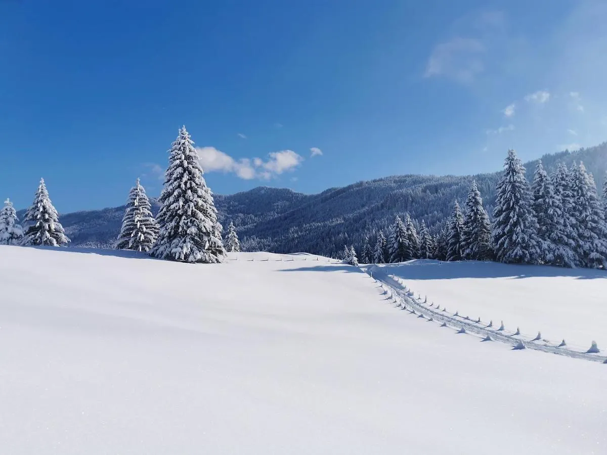 Ferienwohnung Wiesenblick Bad Hindelang Germany
