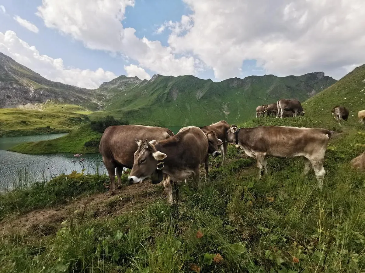 Daire Ferienwohnung Wiesenblick Bad Hindelang