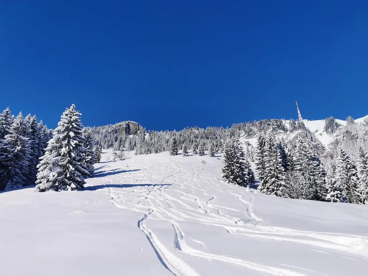 Daire Ferienwohnung Wiesenblick Bad Hindelang Almanya