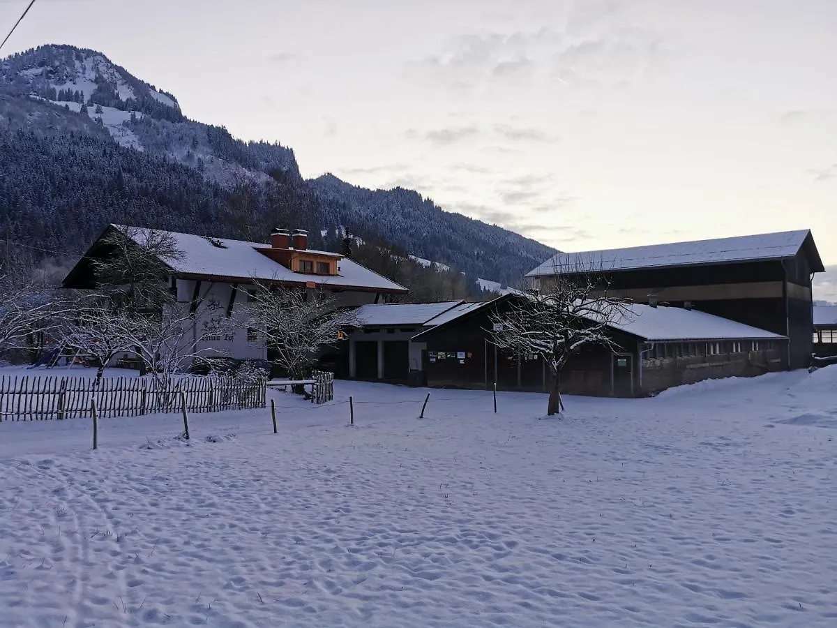 Daire Ferienwohnung Wiesenblick Bad Hindelang